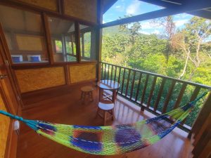 imagen de whatsapp 2025 05 26 a las 17.30.44 eea8d1d6