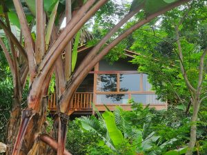 imagen de whatsapp 2025 06 11 a las 09.59.04 028bdc2d